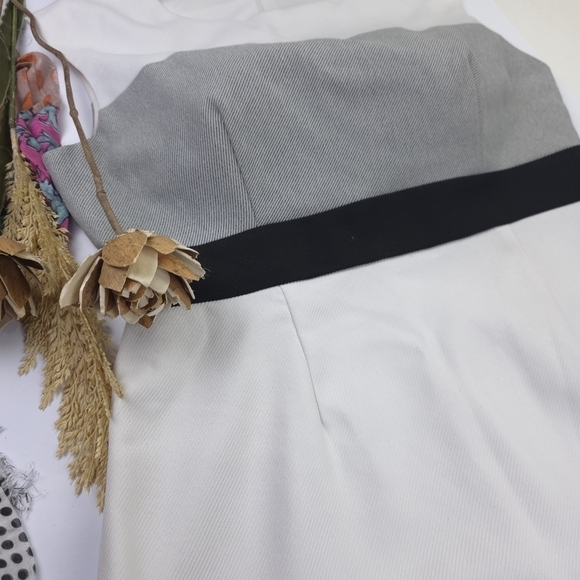 Sandra Darren Elegant Off White and Gray Striped Dress Sz 10 - Picture 5 of 12